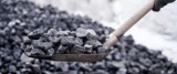 Nabór wniosków na zakup węgla w Radomiu. Miasto apeluje: chcesz kupić opał w grudniu, pośpiesz się z dokumentami 
