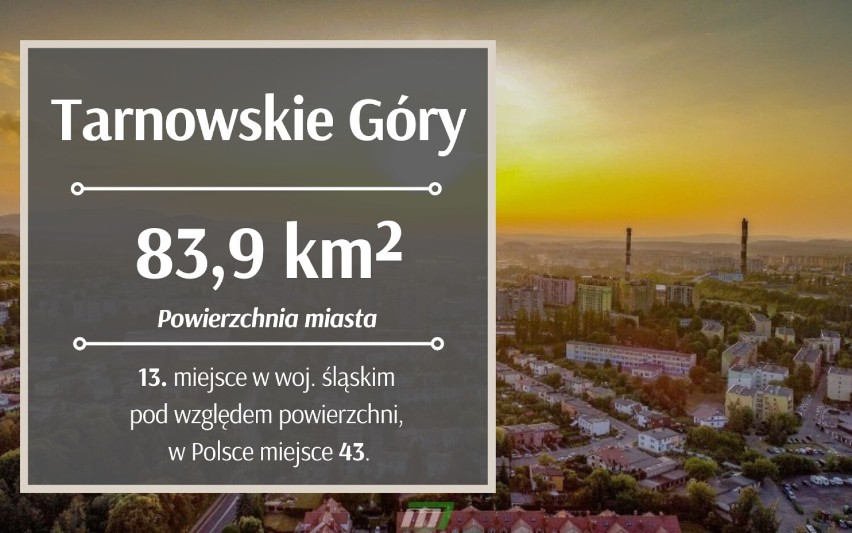 Oto NAJWIĘKSZE miasta w Śląskiem - będziesz zaskoczony! Do centrum jest nawet 20 kilometrów. Zobacz listę TOP 15.