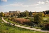 Ruszają konsultacje na temat wyglądu parku na radomskim Gołębiowie II