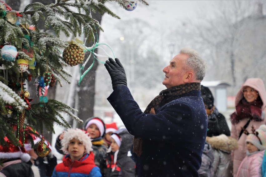 Wspólne ubieranie choinki w Brzegu.