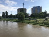 Wrocław. Coraz więcej wody w Odrze. Czy grozi nam powódź jak w 1997 roku? (NAJNOWSZE INFORMACJE)