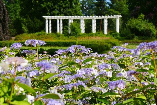 To najstarszy i największy park w mieście, który liczy 50 ha i położony jest nad rzeką Kaczawą. Wiosną jest tu zachwycająco, a w parku można podziwiać nadal przedwojenne elementy architektury