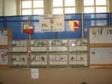 Wystawa kanarków i ptaków egzotycznych odbyła się w Suwałkach (fotoleracja)