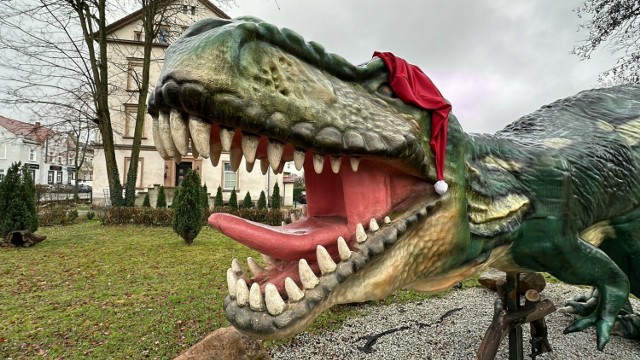 Świąteczny park dinozaurów w Szprotawie. Groźny T-Rex w czapce