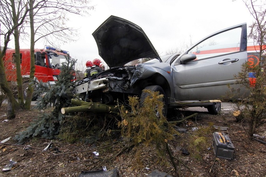 Wrocław: Wypadek na Mrągowskiej. Pod wpływem narkotyków wjechał w drzewo (ZDJĘCIA)