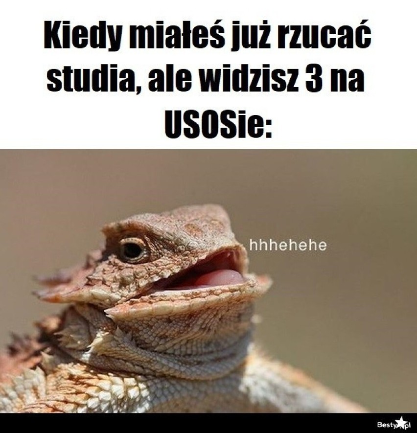 Sesja 2022 MEMY. Internauci są bezlitości. Studenci! Bez spiny, są drugie terminy [MEMY]