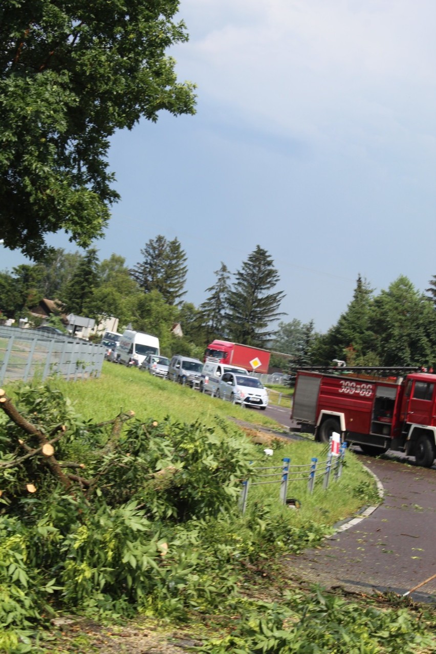 Nawałnica w Zamościu i gminach Sitno i Miączyn. Wiatr przewracał drzewa i budynki, zrywał dachy. Zobacz zdjęcia