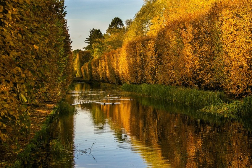 Park Oliwski jesienią