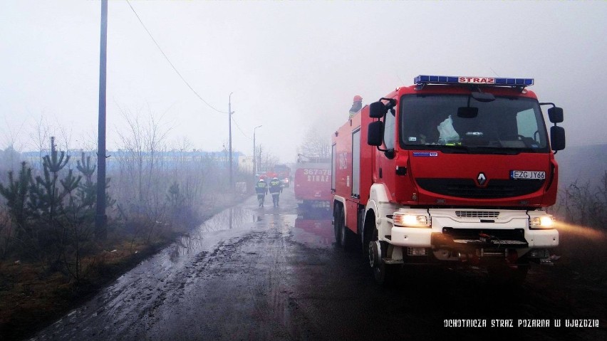 Pożar hali w Skierniewicach