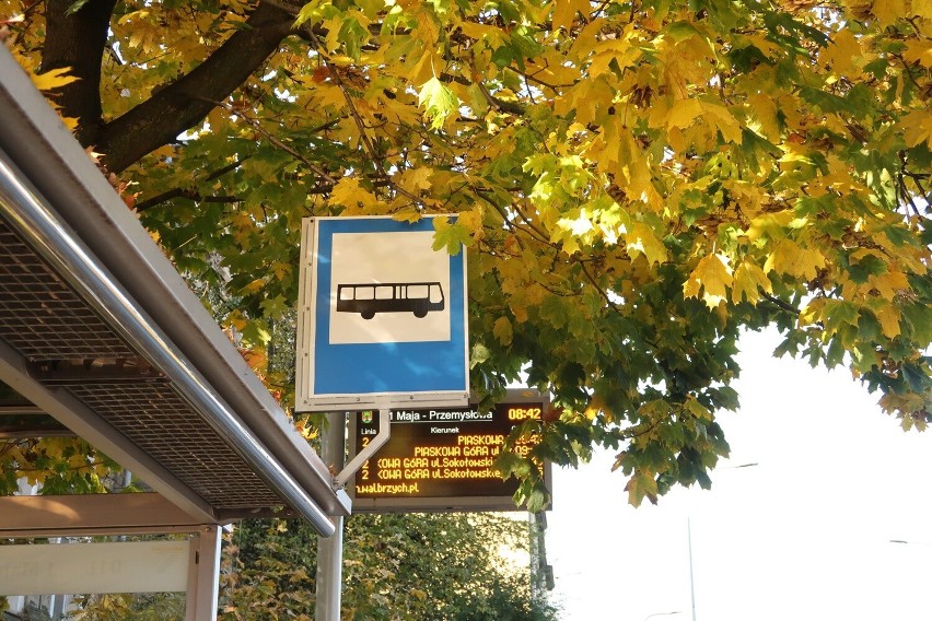 Wałbrzyskie autobusy w jesiennej aurze :)
