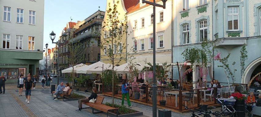 Rynek w Gliwicach cieszy zielenią - drzewa i krzewy...