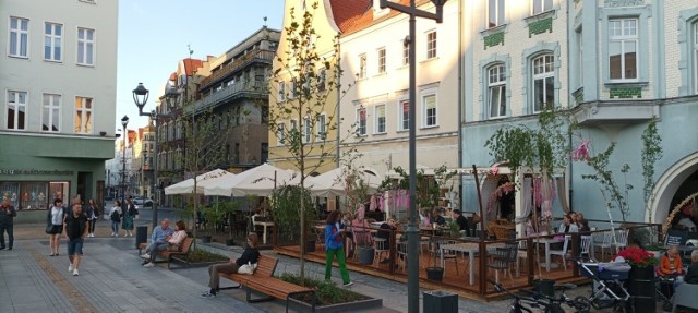 Rynek w Gliwicach cieszy zielenią - drzewa i krzewy wypełniły plac.