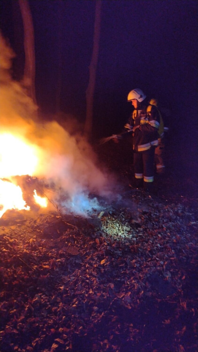 Pożar w lesie w Marcelinie w gminie Szadek    