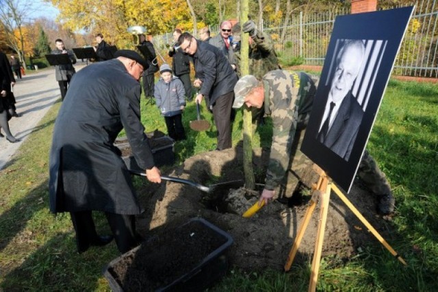 Dwa kolejne Drzewka Pamięci zostaną posadzone w niedzielę na ...