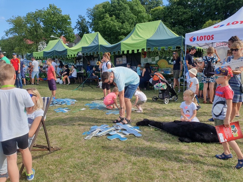 Rodzinny festyn ekologiczny na Zielonej Plaży w Pucku 11.08.2019