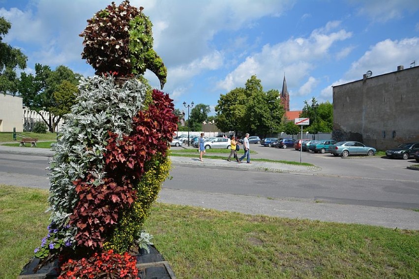 Kwiatowe figury w centrum Inowrocławia [zdjęcia]