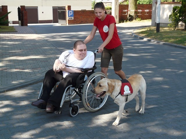 Fundacja Ami organizuje szkolenie psów dla niepełnosprawnych w Zduńskiej Woli