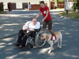 Zduńska Wola: Szkolenie psów, które pomogą niepełnosprawnym [zdjęcia]