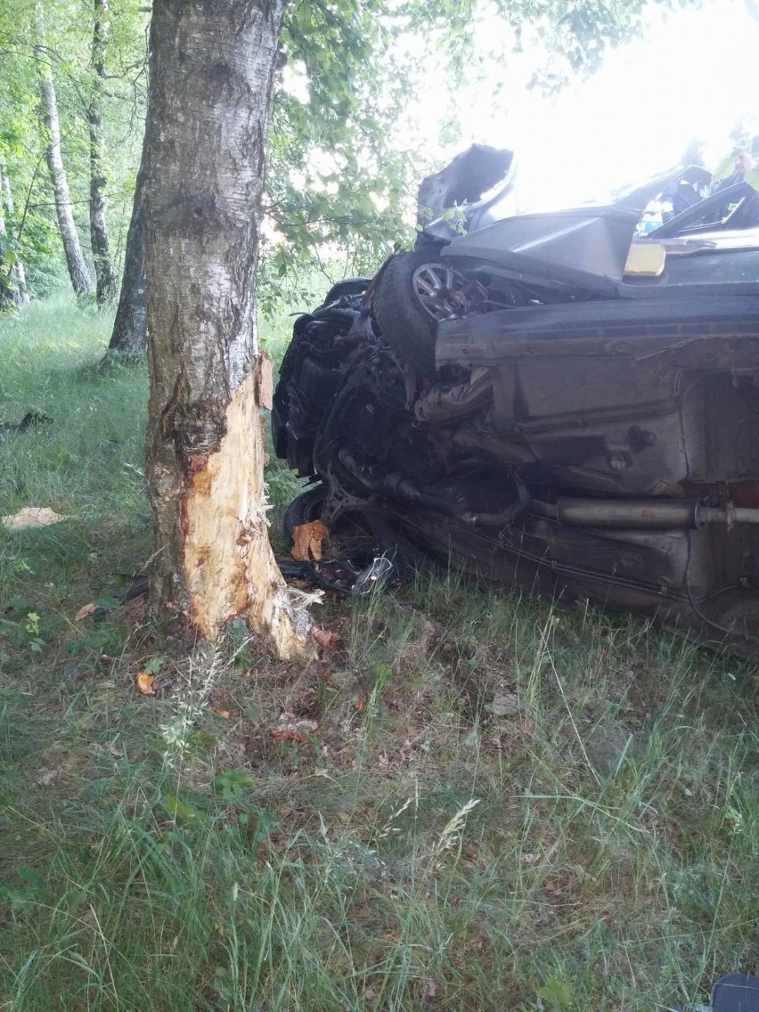Wypadek na trasie Jasień - Rokity. Kierująca uderzyła w drzewo [ZDJĘCIA] 