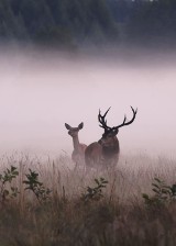 Książnica Stargardzka. Jeden obraz, a może fotografia... Fotografie z natury i pasji Marcina Parzybuta