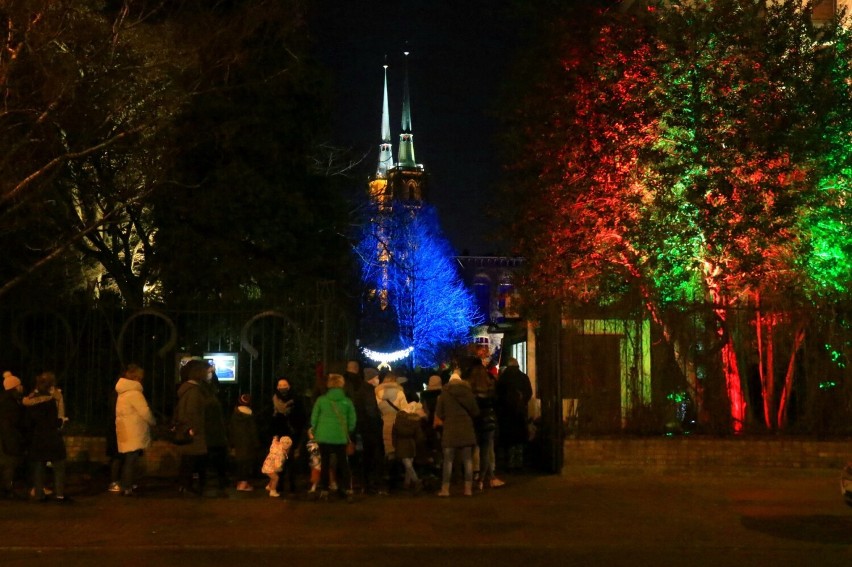 Tak pięknie wyglądał Ogród Botaniczny w ubiegłym roku