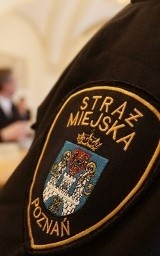 Poznań: Straż miejska oszczędza na paliwie. Wprowadziła limity kilometrów