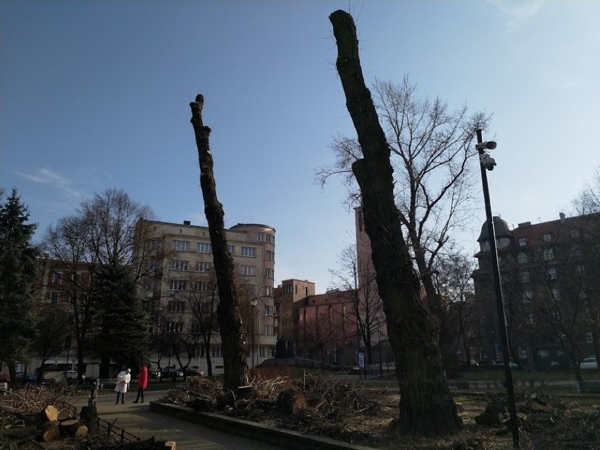 Wycinka drzew na placu Andrzeja w Katowicach. Internauci nie kryją oburzenia ZDJĘCIA 