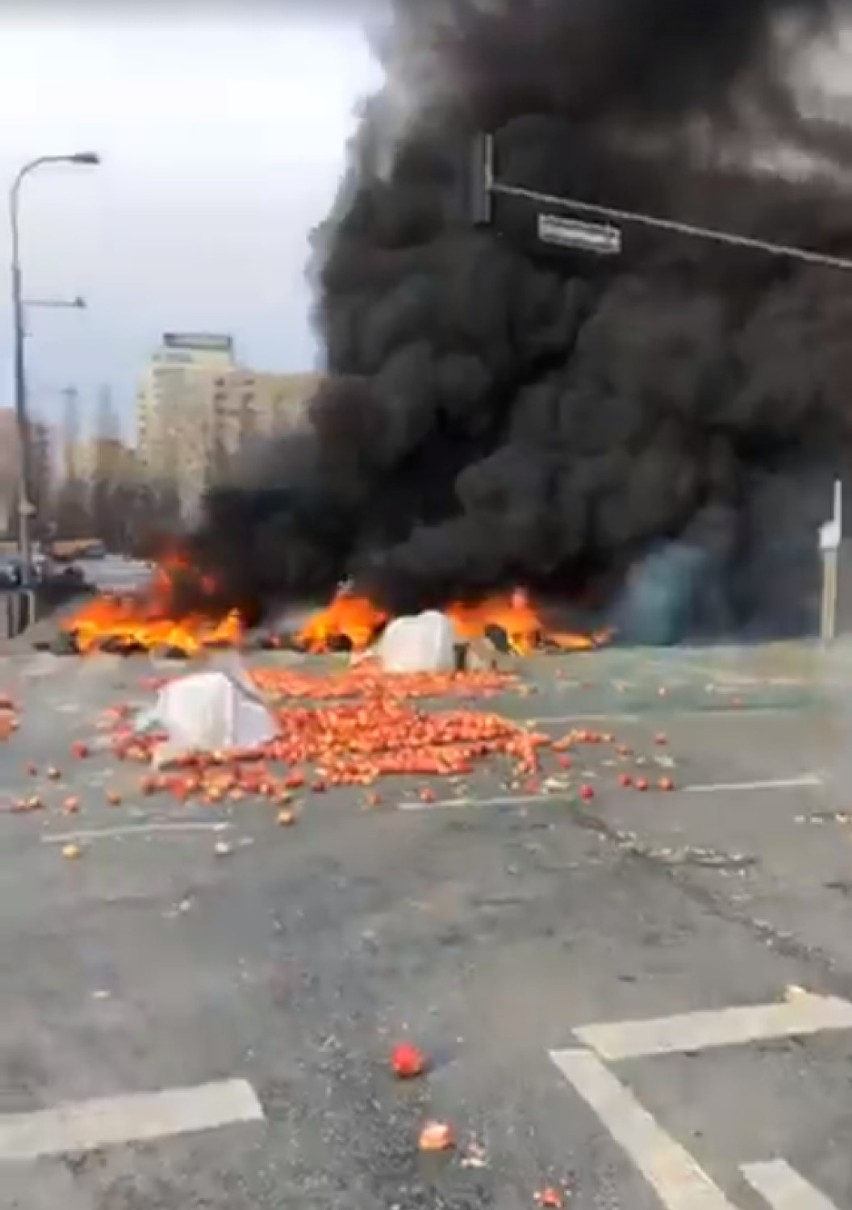 Protest rolników, Warszawa, plac Zawiszy 2019. W Warszawie rolnicy podpalili słomę i rozrzucili martwe świnie [ZDJĘCIA]