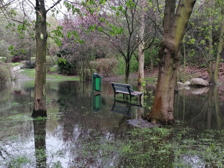 Park nad Krępicą w Kaliszu. Zieleniec jest zalewany i...