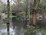 Park nad Krępicą w Kaliszu. Zieleniec jest zalewany i zaniedbany ZDJĘCIA