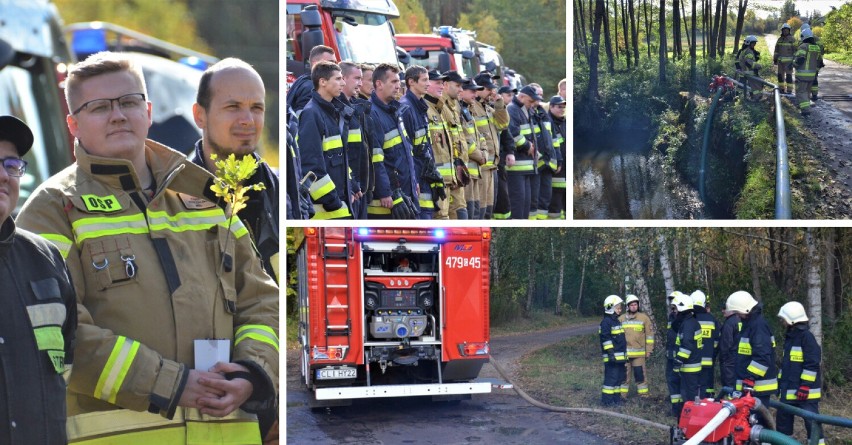 W leśnictwie Jankowo przeprowadzono ćwiczenia pożarnicze...