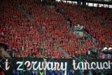 Wisła Kraków - Legia Warszawa: doping kibiców "Białej Gwiazdy" na trybunach [ZDJĘCIA]