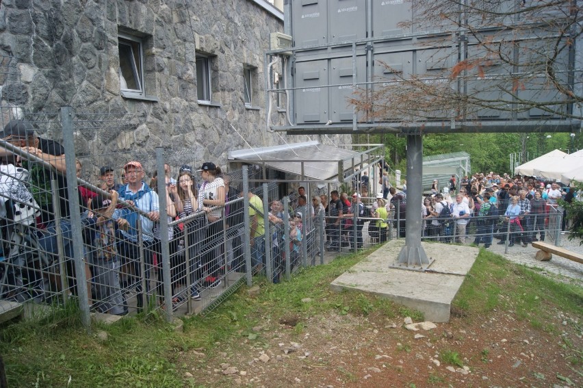 Tłumy turystów czekają na darmowy wyjazd kolejką na Kasprowy Wierch [ZDJĘCIA]