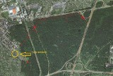 Dąbrowa Górnicza: Czysty Las będzie sprzątał las w okolicach Podlesia