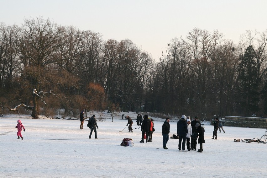 Zima w Parku Południowym (zdjęcia, PROGNOZA POGODY)