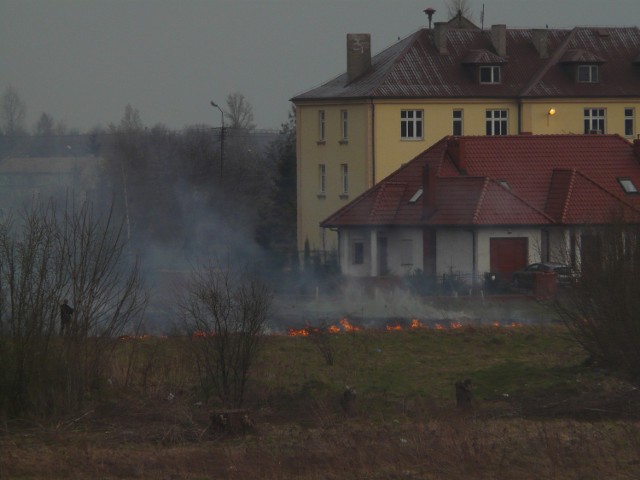 Wypalanie trawy przy ul. Piłsudskiego w Radomsku