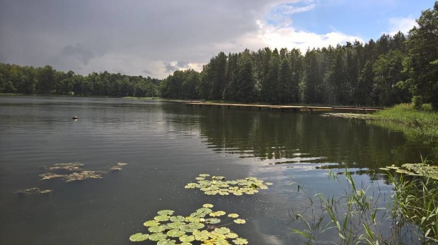 Wprowadzono zakaz kąpieli w Jeziorze  Borówno w Kujankach 