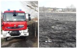 Dwa pożary przy działkach na Grodzkiej we Włocławku [zdjęcia]