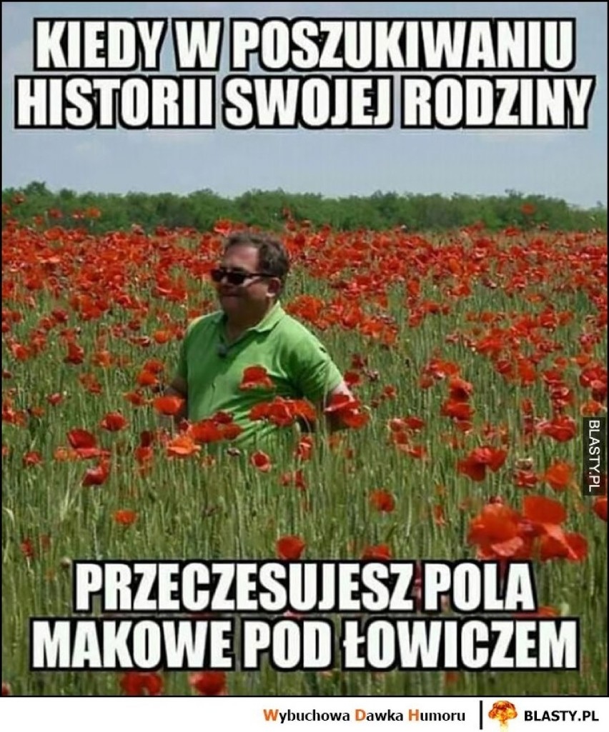 Zobacz najlepsze memy o Łowiczu. Makłowicz króluje [GALERIA]