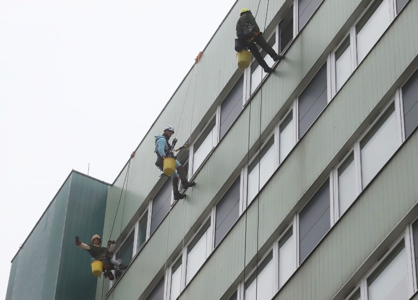 WOŚP 2023 w Radomiu. Widowiskowa akcja alpinistów w szpitalu na Józefowie. Przebierańcy na linach umyli okna na oddziale dziecięcym Zdjęcia
