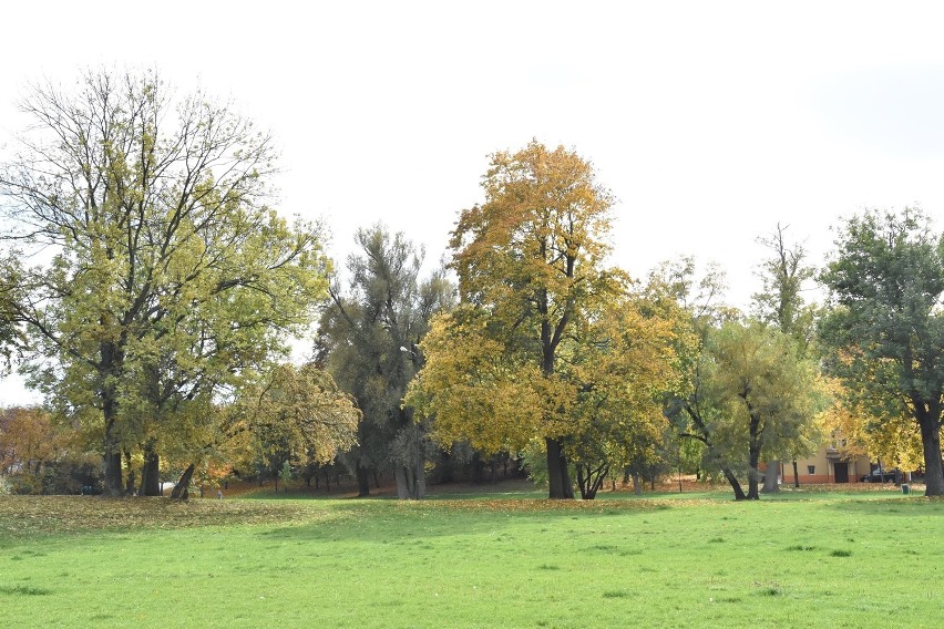 Złota jesień zawitała do Oleśnicy (DUŻO ZDJĘĆ)