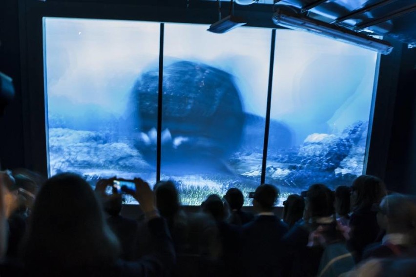 Oceanarium Prehistoryczne 3D na Stadionie Narodowym może być...