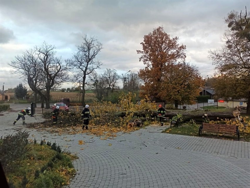 Takie szkody wyrządziła wichura w Rypinie i powiecie rypińskim. Połamane drzewa, zerwane dachy [zdjęcia, 23.10]
