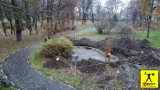 Przedwojenna fontanna w głogowskim parku przy Daszyńskiego zostanie zasypana. Odnalazł ją i zmierzył GROT