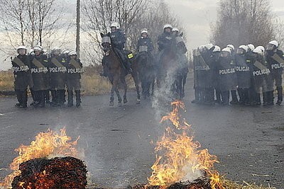 Policja konna w Chorzowie przeszła szkolenie. To trzecia jednostka konna w Polsce