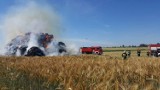 Września: Palił się stog w Małej Górce - strażacy z trzech zastępów gasili pożar