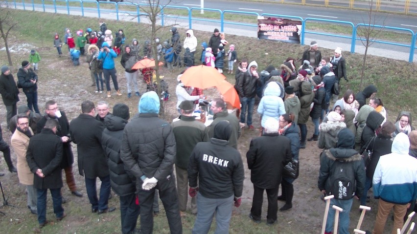 Park Przyjaźni w Kaliszu. Posadzono 50 drzew