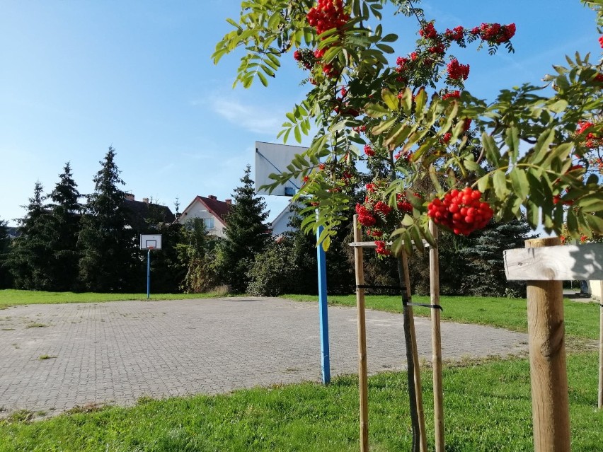 Na Osiedlu Radzikowo powstanie Plac Muzyków. Jest przetarg na I etap