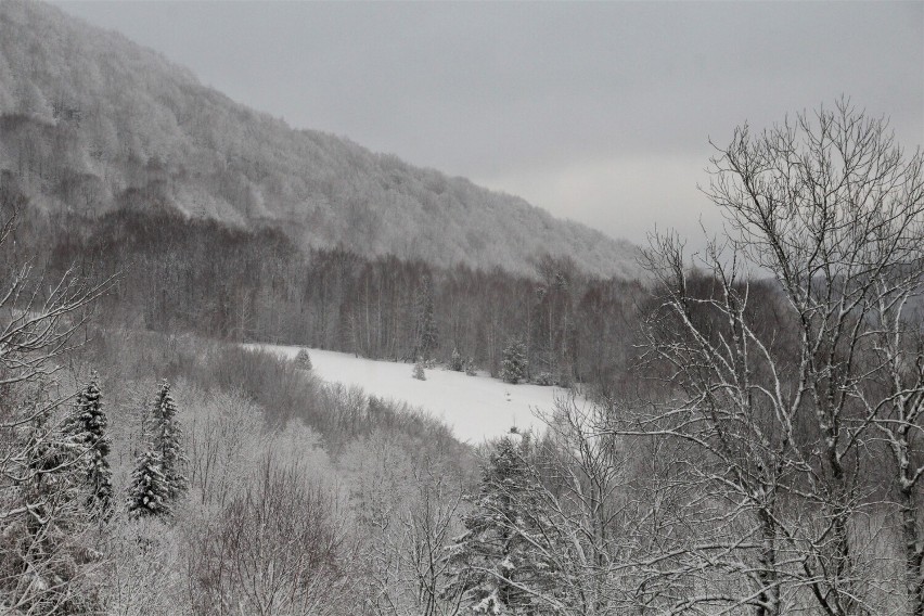 Marcowe Bieszczady. Majestatyczne, kapryśne, jedyne w swoim rodzaju 