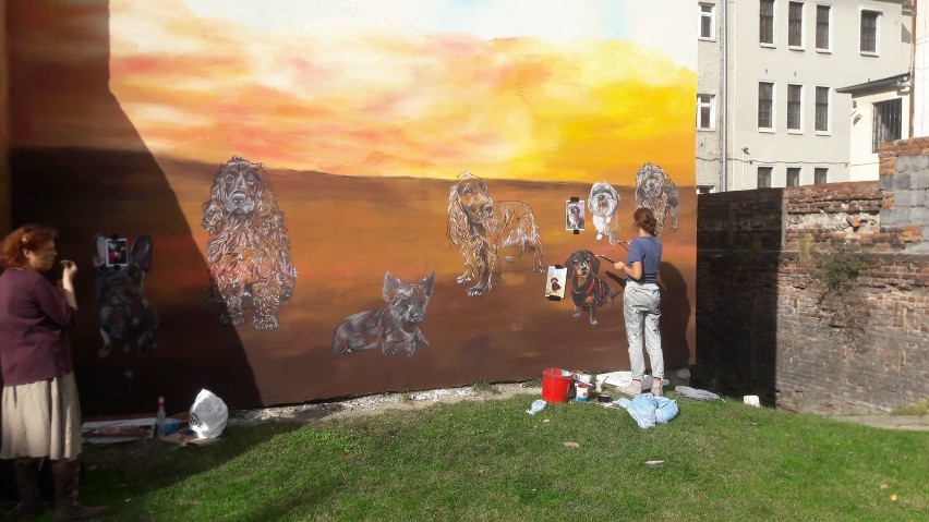 Zobaczcie pierwsze zwierzaki na wałbrzyskim muralu już są. Będzie ich więcej. I murali i zwierząt 